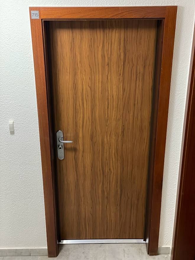 PORTE BLINDEE FICHET NARBONNE